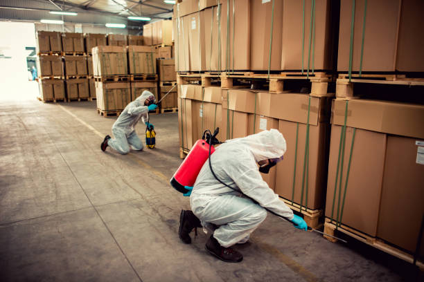 Best Wildlife Control Services  in Mount Carroll, IL