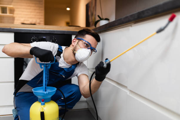 Best Pest Inspection Near Me  in Mount Carroll, IL