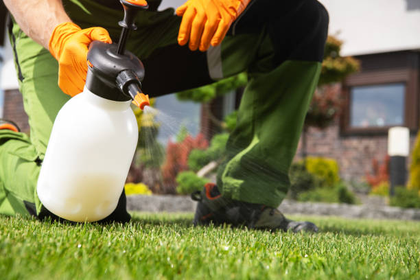 Best Bed Bug Extermination  in Mount Carroll, IL