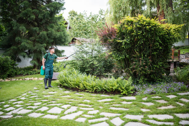 Best Residential Pest Control  in Mount Carroll, IL
