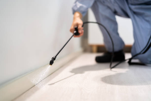Best Flea Control Services  in Mount Carroll, IL