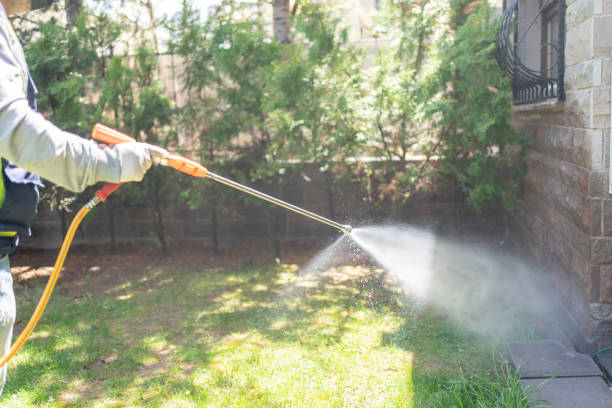 Best Exterminator Services  in Mount Carroll, IL