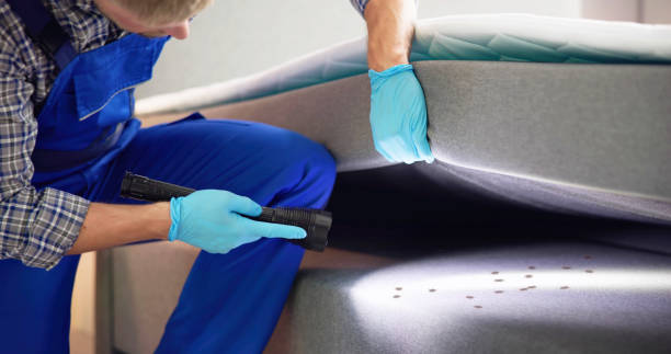 Best Ant Control Services  in Mount Carroll, IL