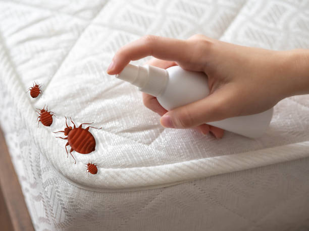 Best Affordable Pest Control Services  in Mount Carroll, IL