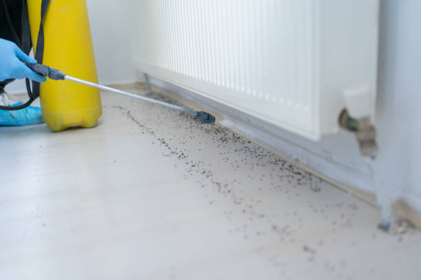 Best Pest Prevention Services  in Mount Carroll, IL