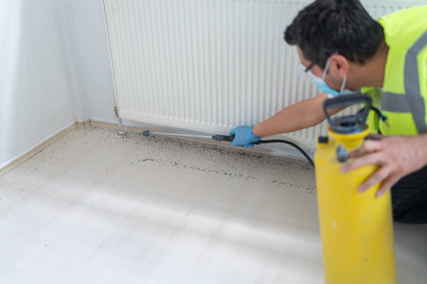 Best Best Pest Control Companies  in Mount Carroll, IL