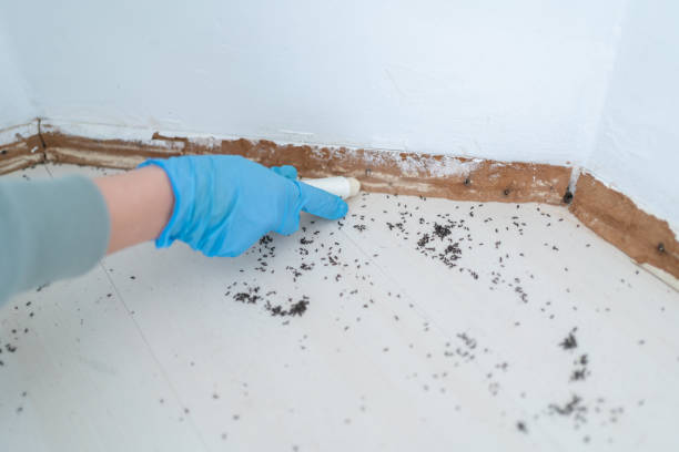 Best Pest Inspection Near Me  in Mount Carroll, IL